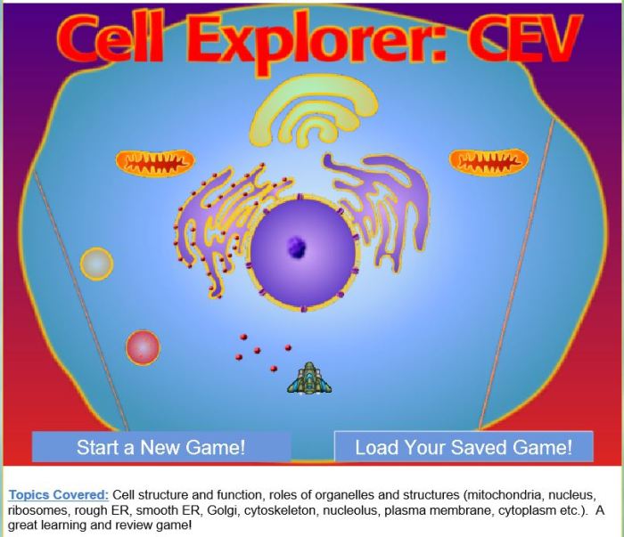 Cell explorer game answer key