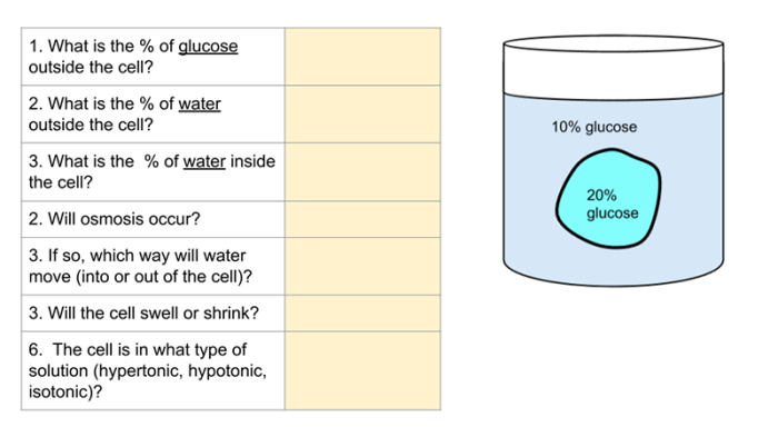 Osmosis practice problems answer key