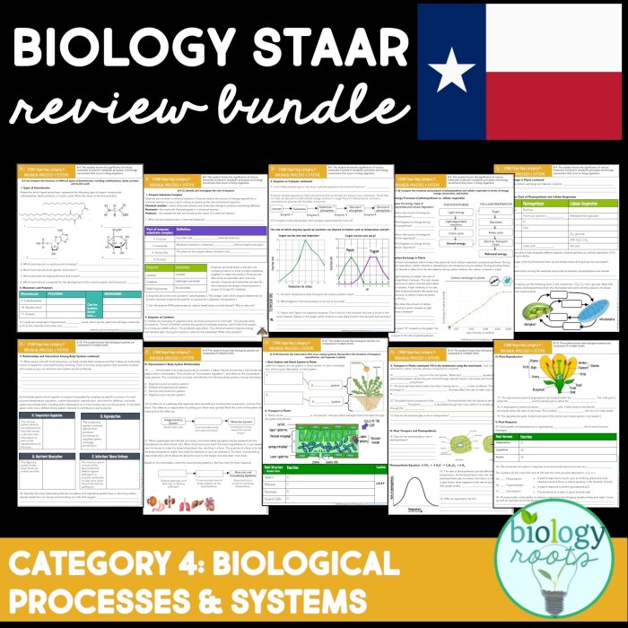 Staar reporting category 2 mechanisms of genetics answer key