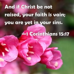 Preaching raised christ been if useless has faith so corinthians today devotional reframemedia daily quotes