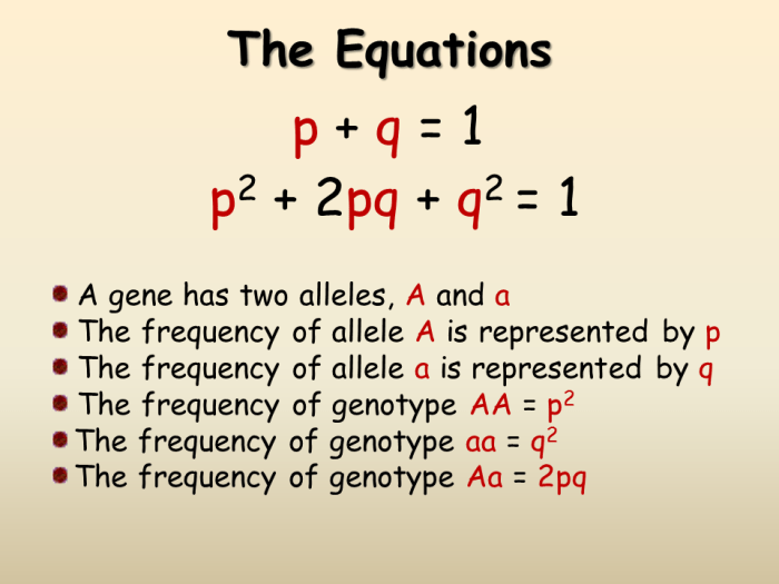 Weinberg equilibrium equation genetics evolutionary key