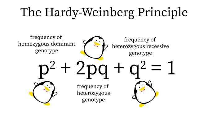 Which of the following populations is not in hardy-weinberg equilibrium