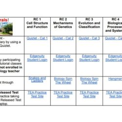 Staar reporting category 2 mechanisms of genetics answer key