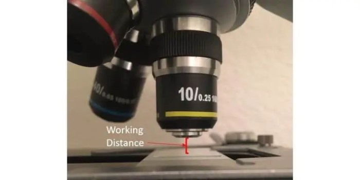 The working distance for a 10x objective lens is