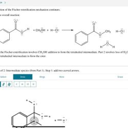 Esterification examination fischer transcribed arrows continues recall