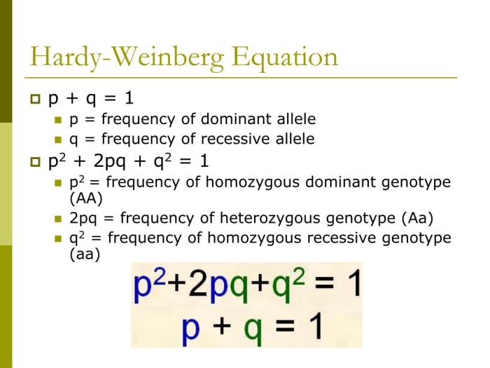 Which of the following populations is not in hardy-weinberg equilibrium