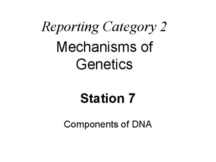 Staar reporting category 2 mechanisms of genetics answer key