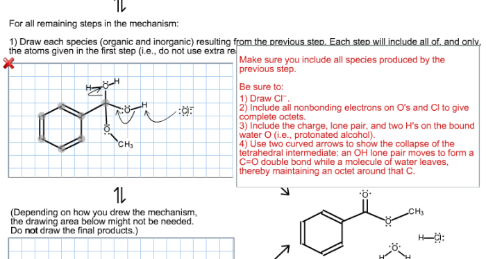 Esterification fischer mechanism examination tetrahedral h2o intermediate form ester continues involves loss draw part species remaining resulting each chegg reaction